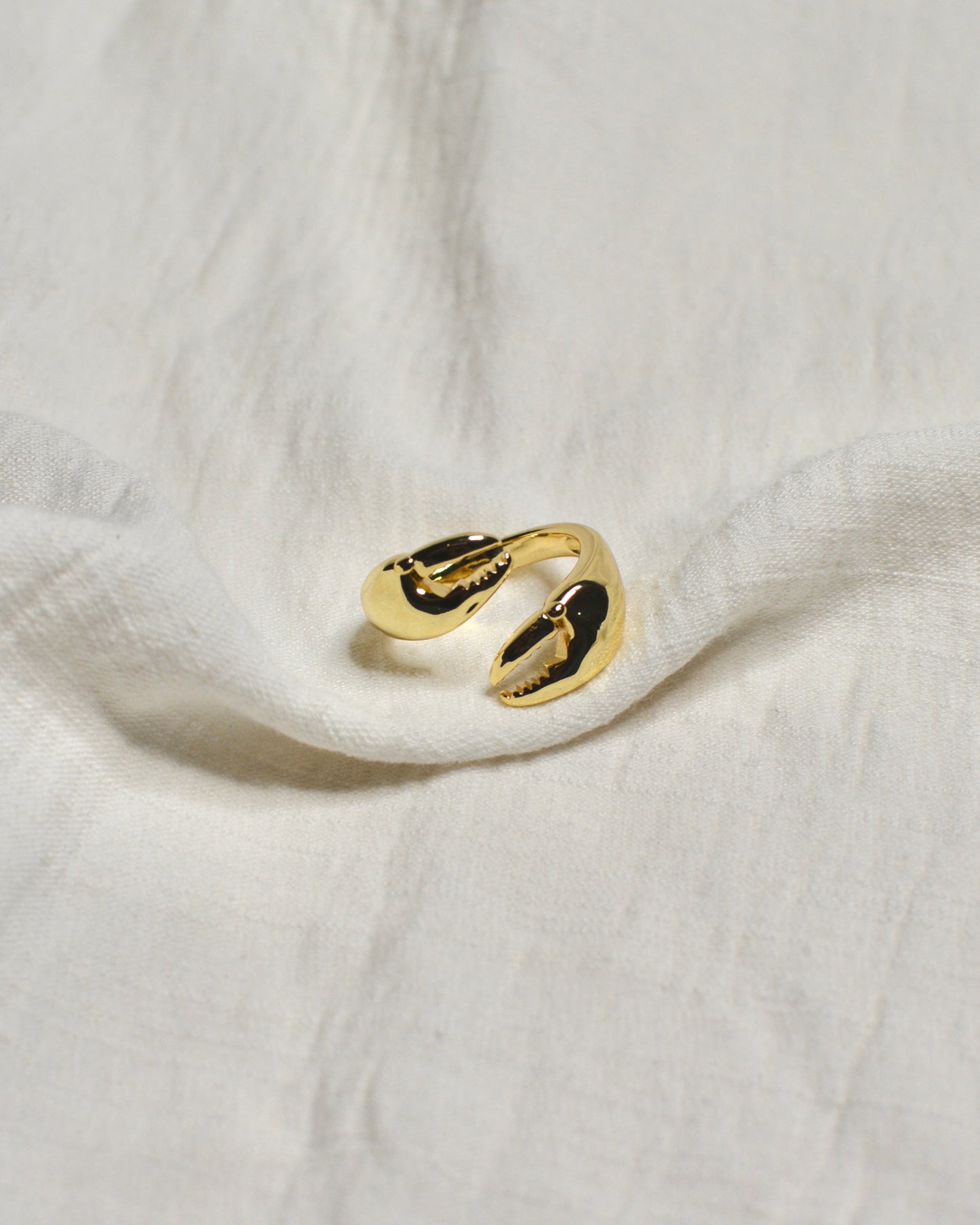 Anillo Tenazas