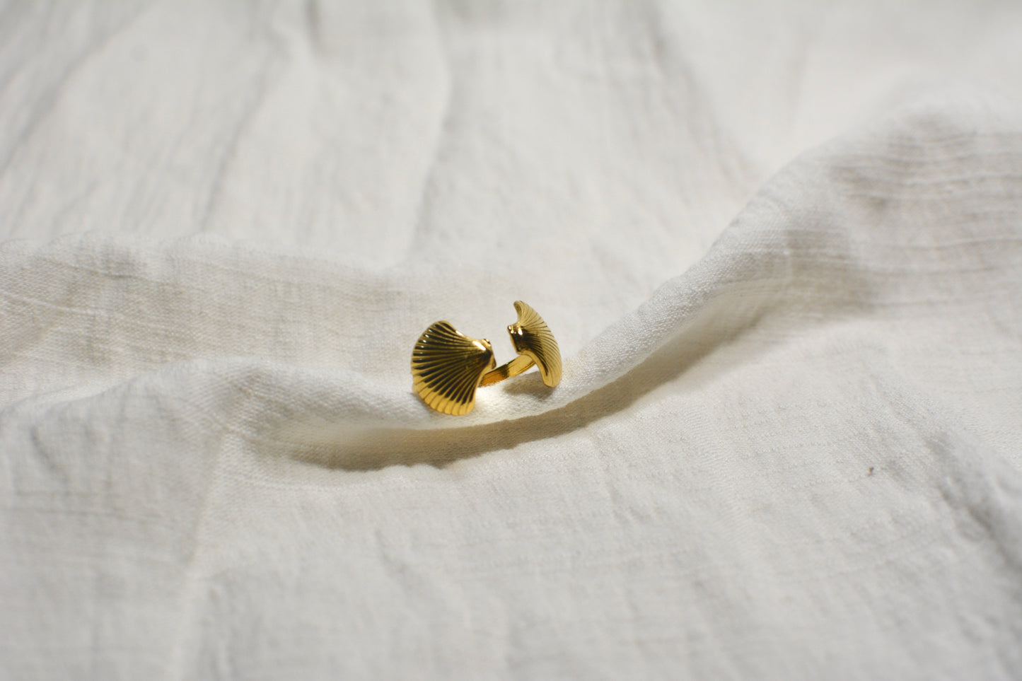 Anillo Doble Concha