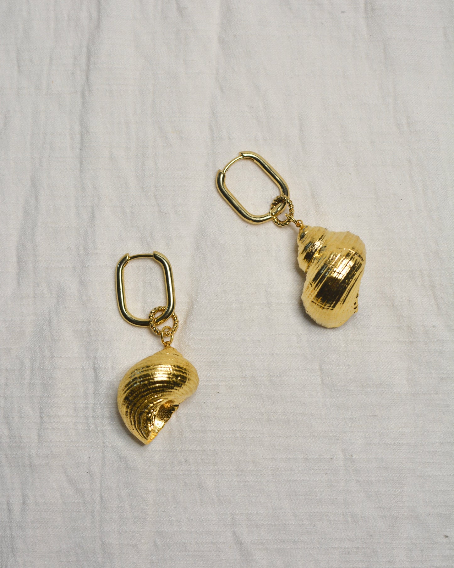 Aretes Caracol Natural