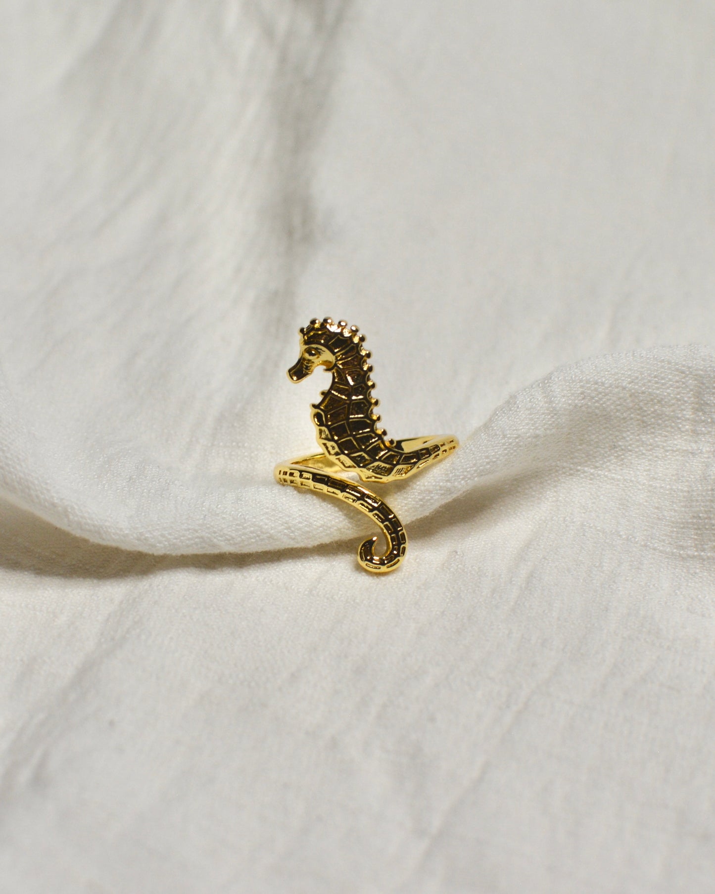 Anillo Caballo De Mar