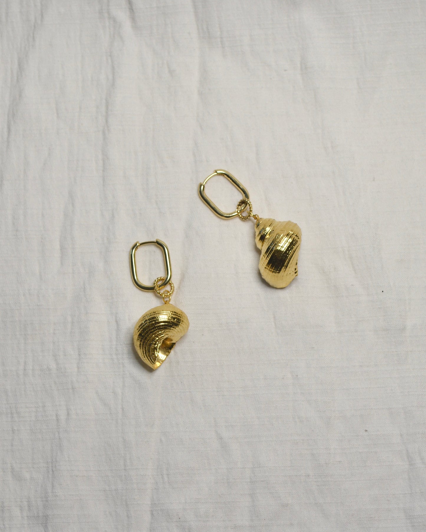 Aretes Caracol Natural