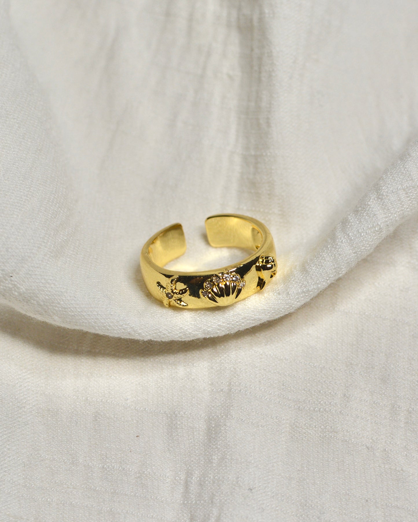 Anillo A.Mar