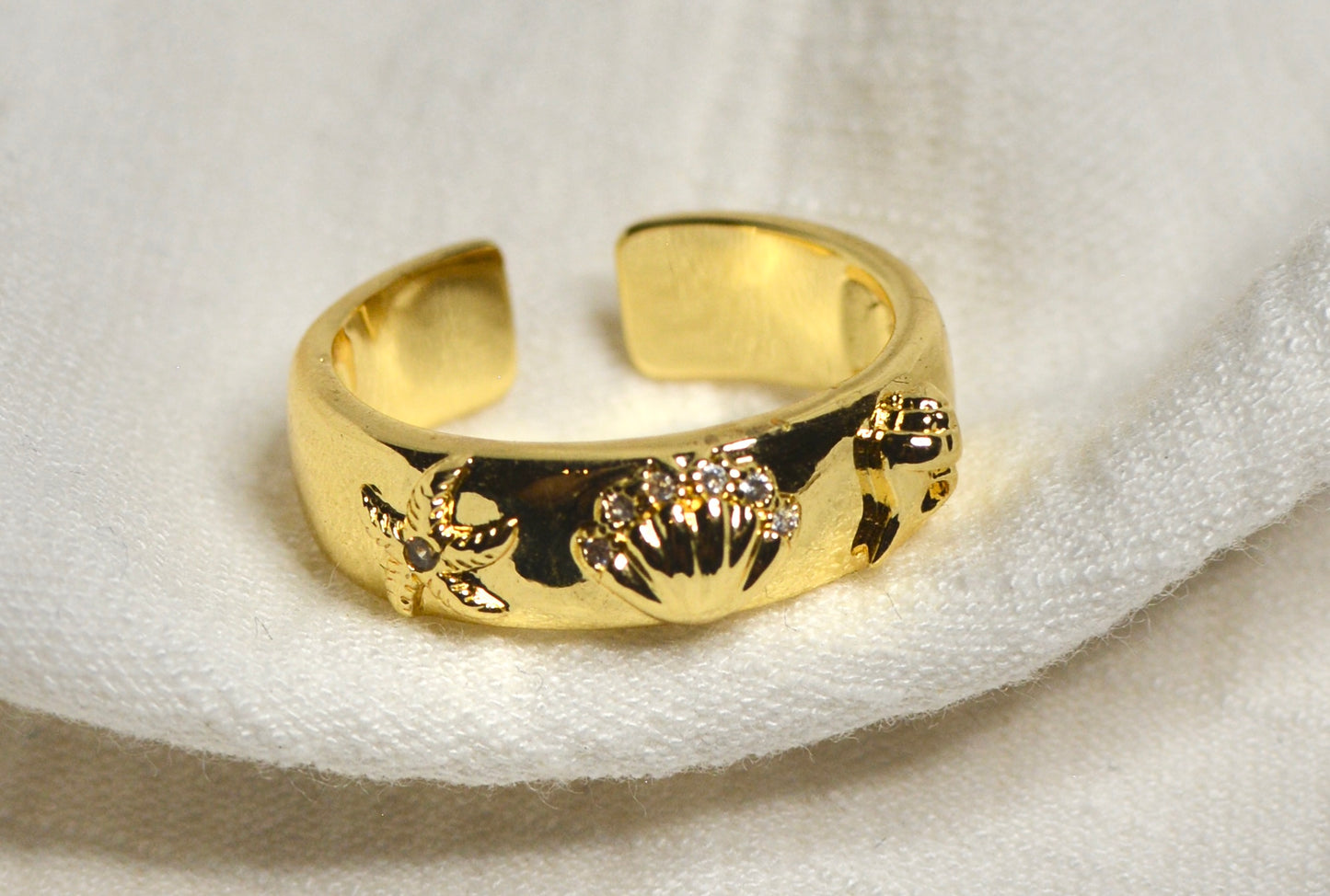 Anillo A.Mar