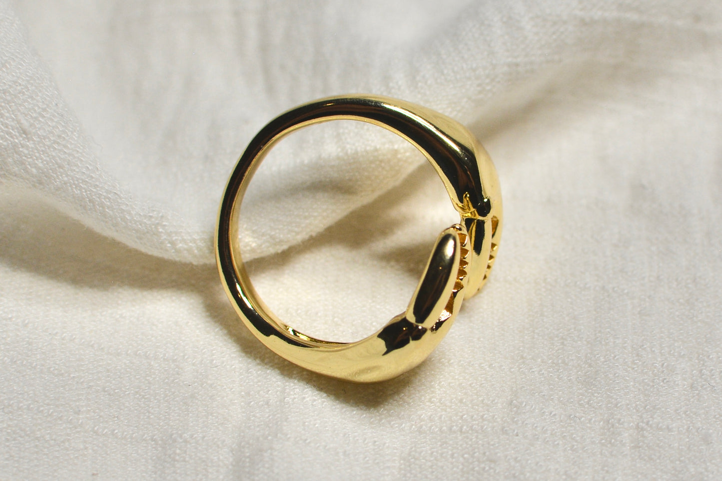 Anillo Tenazas