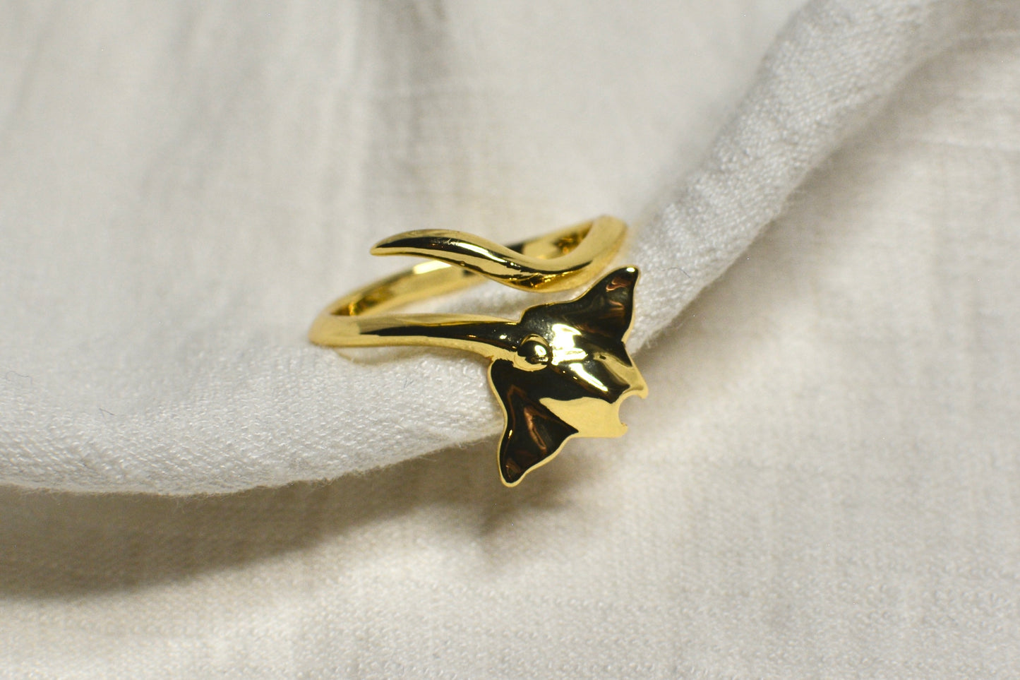 Anillo Mantarraya