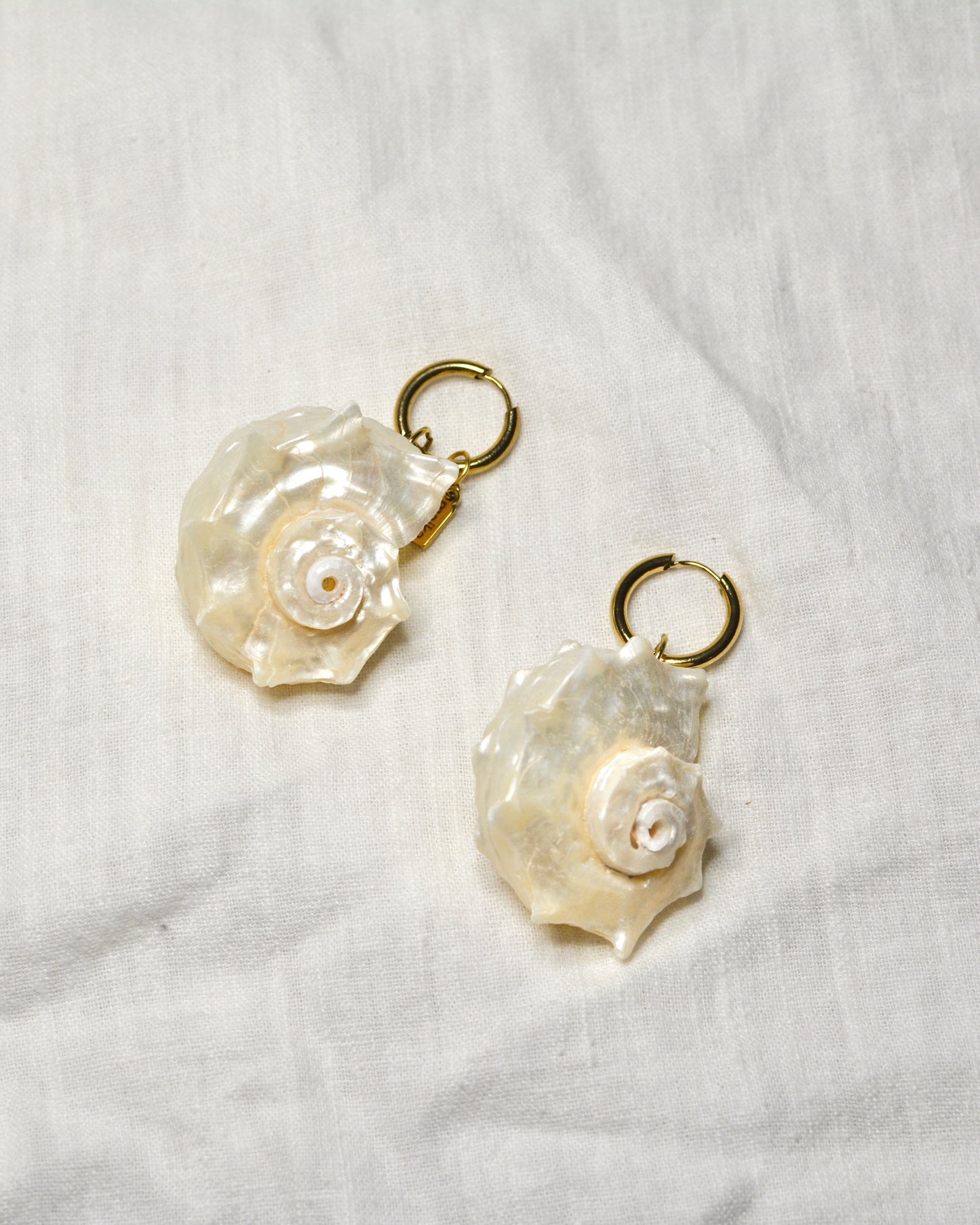 Aretes Bahía