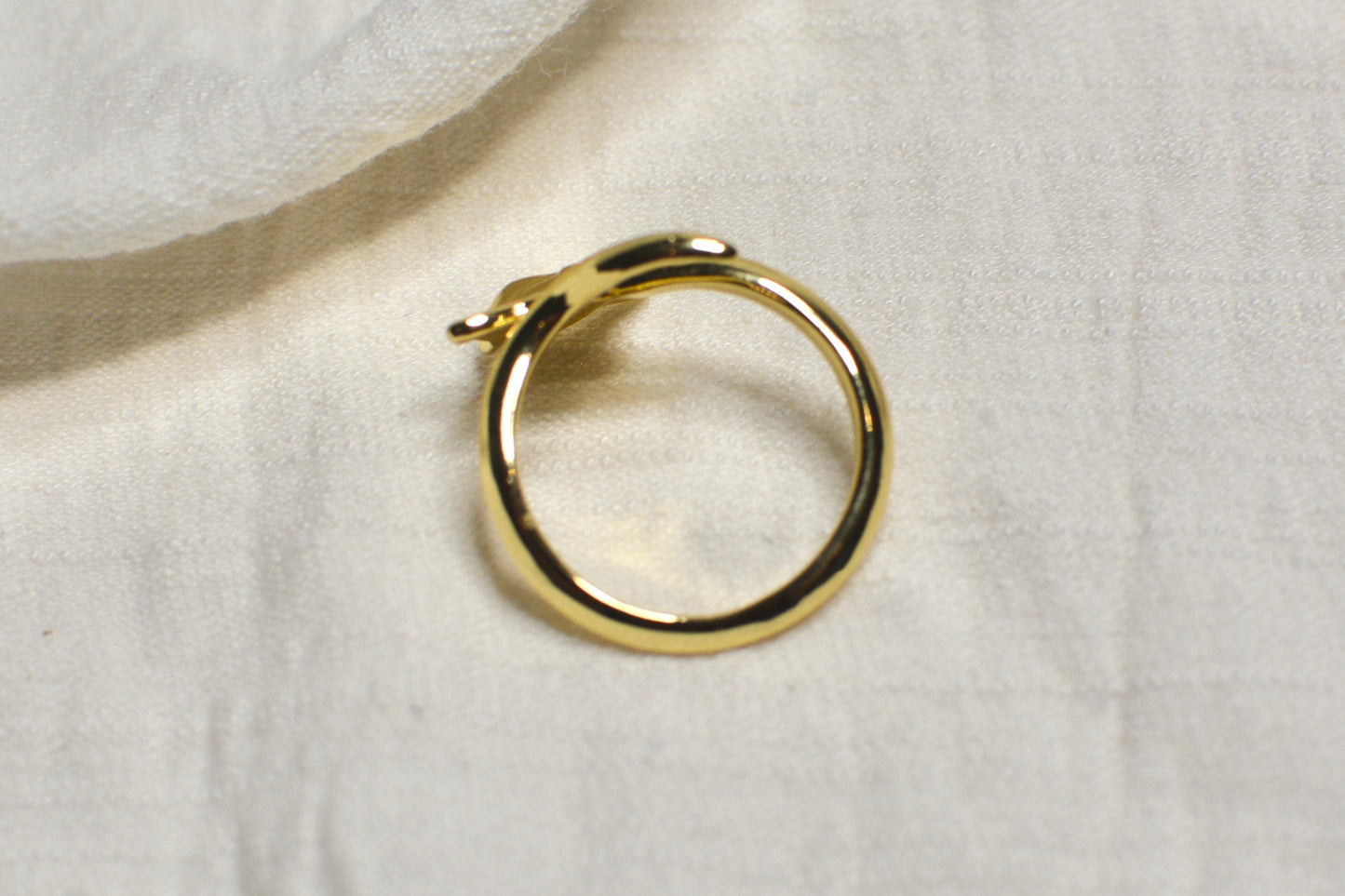 Anillo Mantarraya