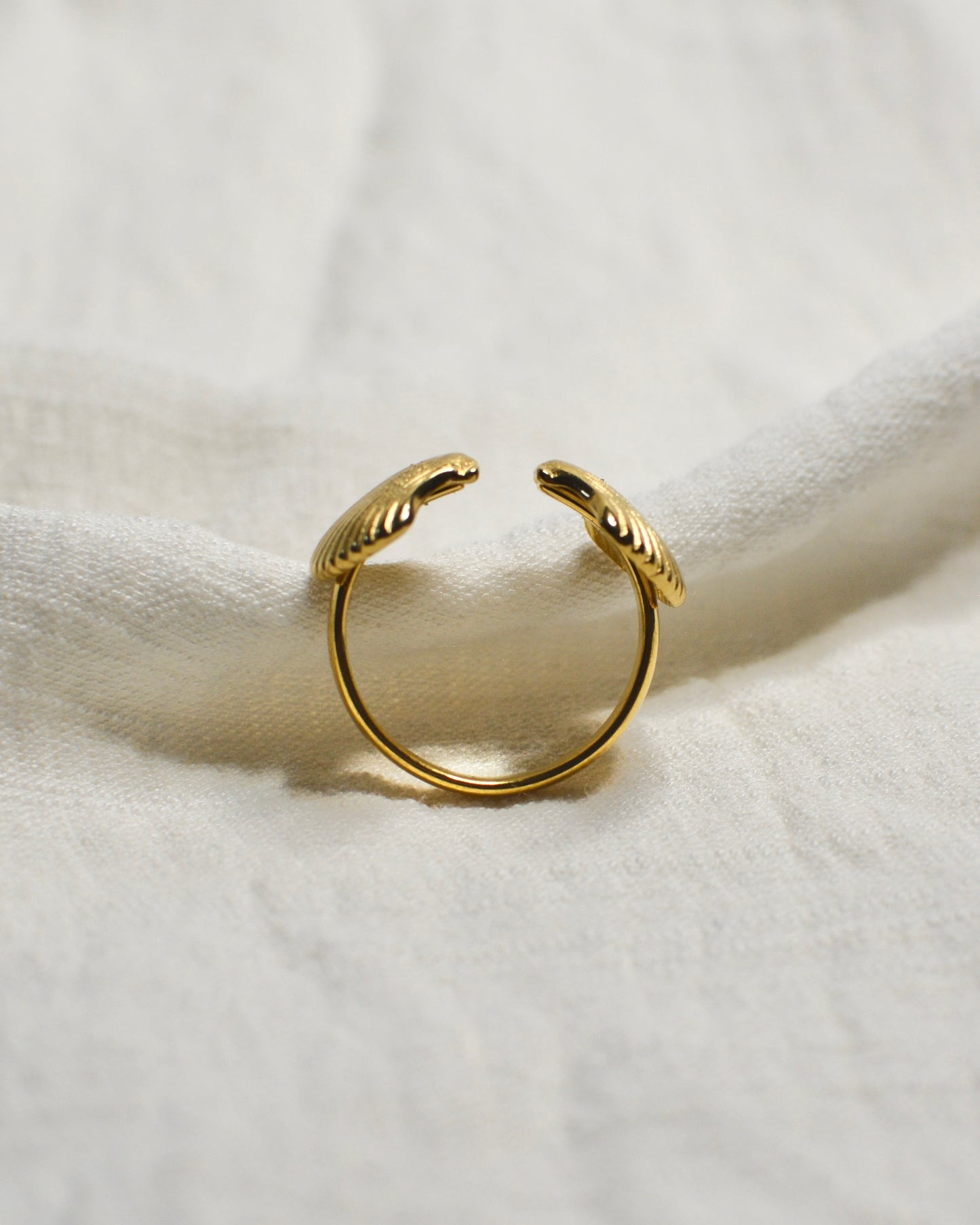 Anillo Doble Concha