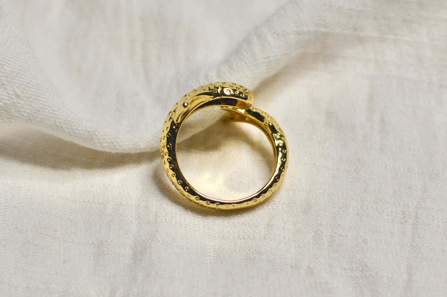 Anillo Tiburon Ballena