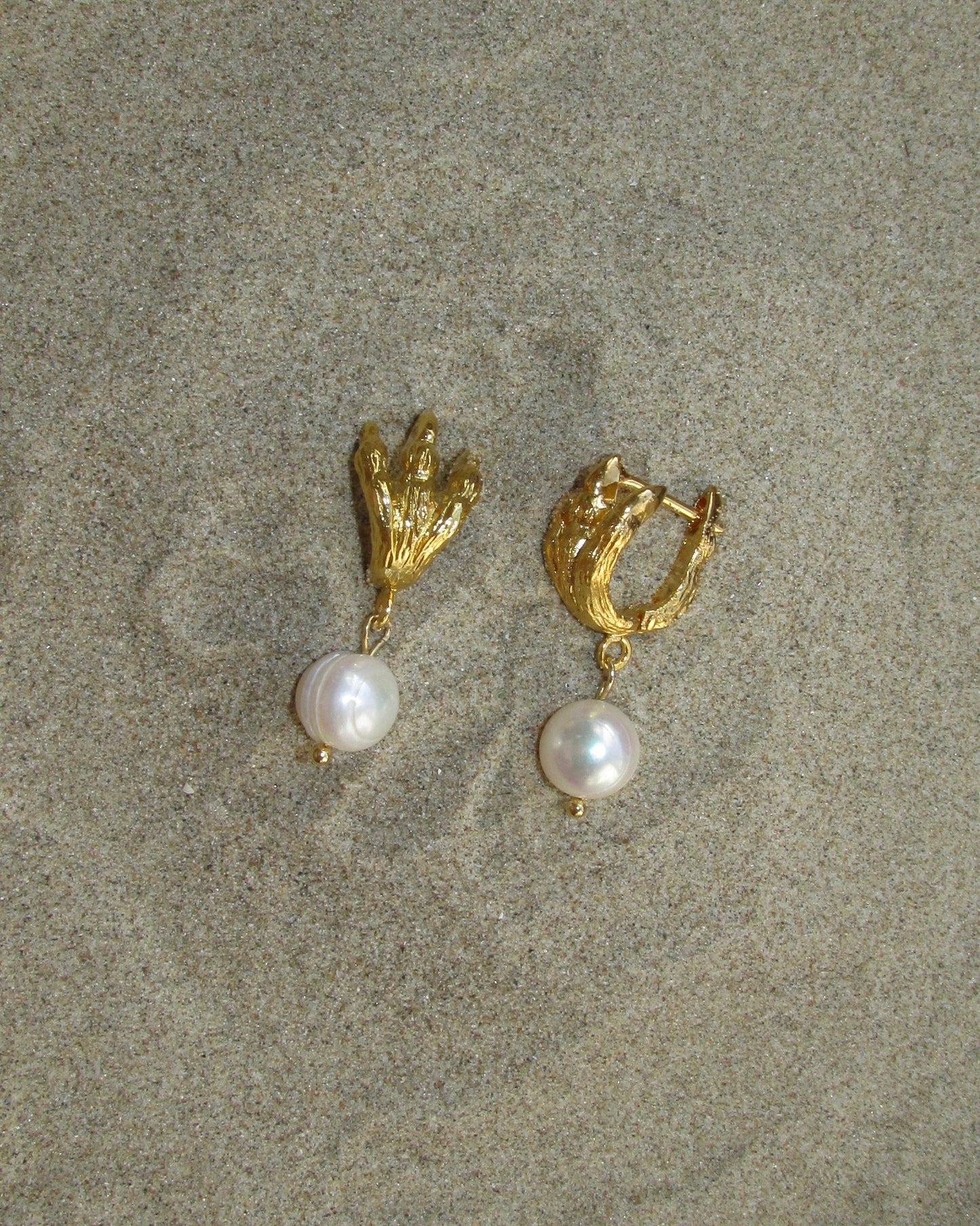 Aretes Garra