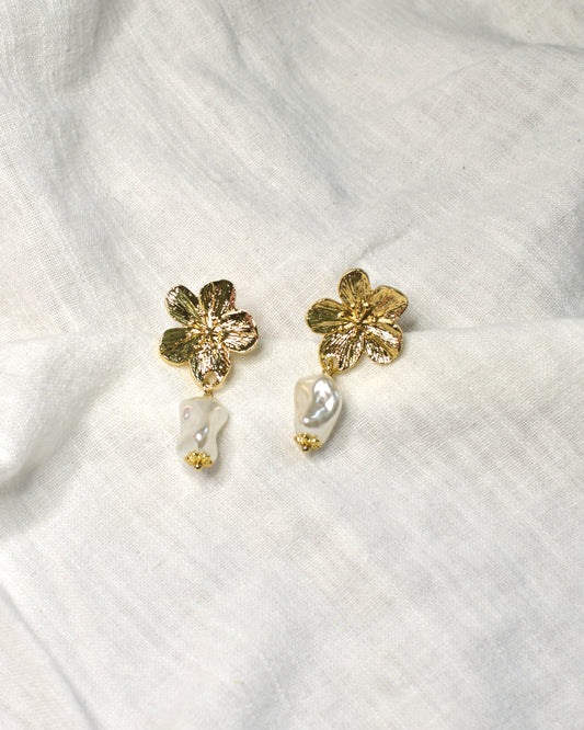 Aretes Nessa