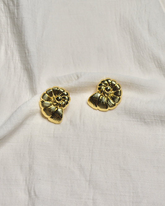 Aretes Caracol Plano B