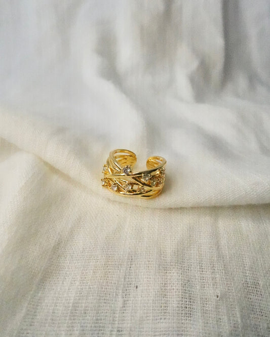 Anillo Lea