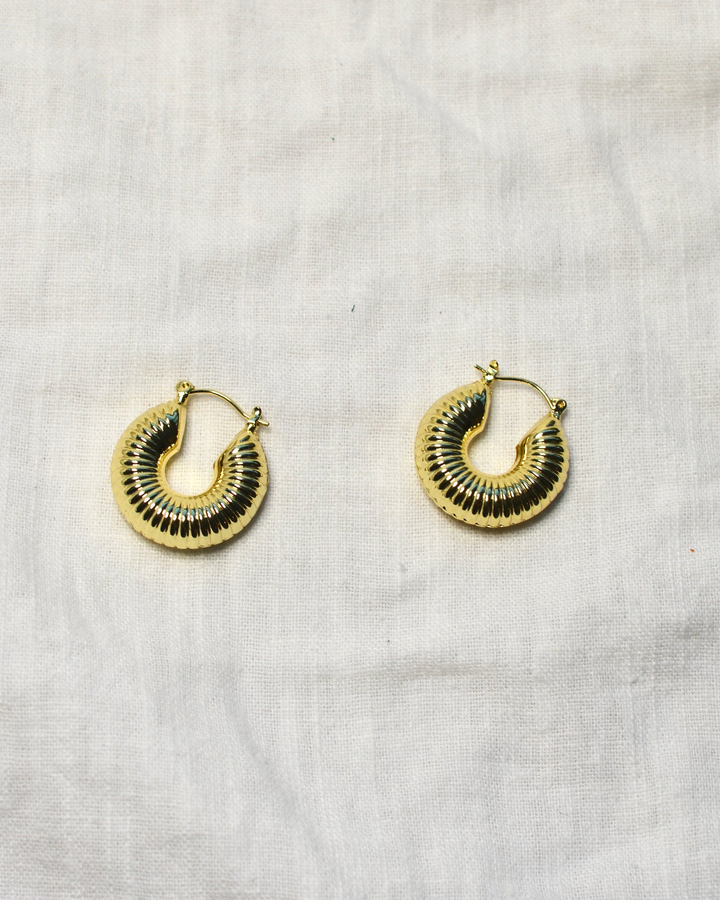 Aretes Sam