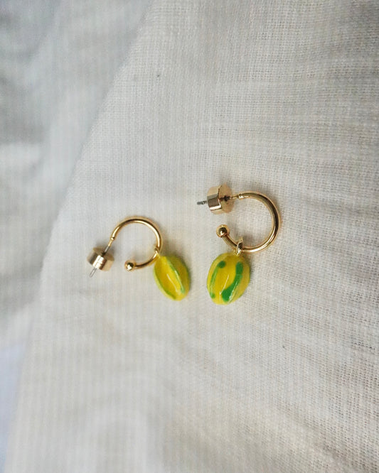 Aretes Pitaya