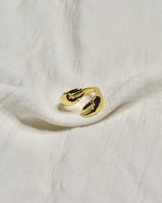 Anillo Tenazas