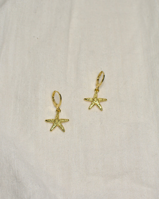Hoops Estrella