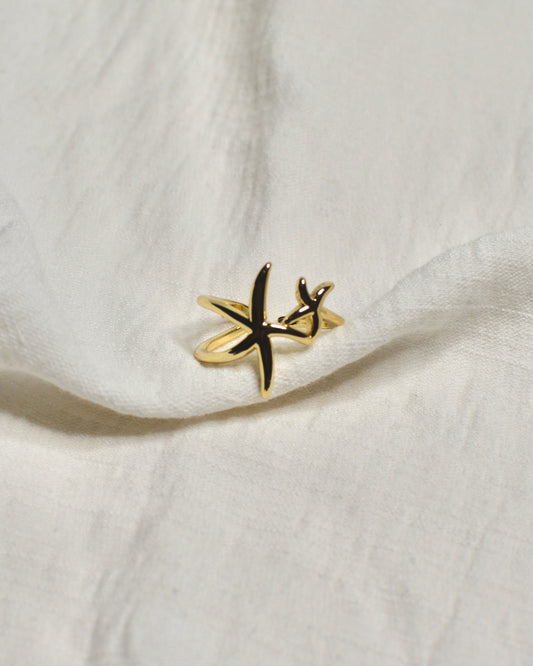 Anillo Doble Estrella