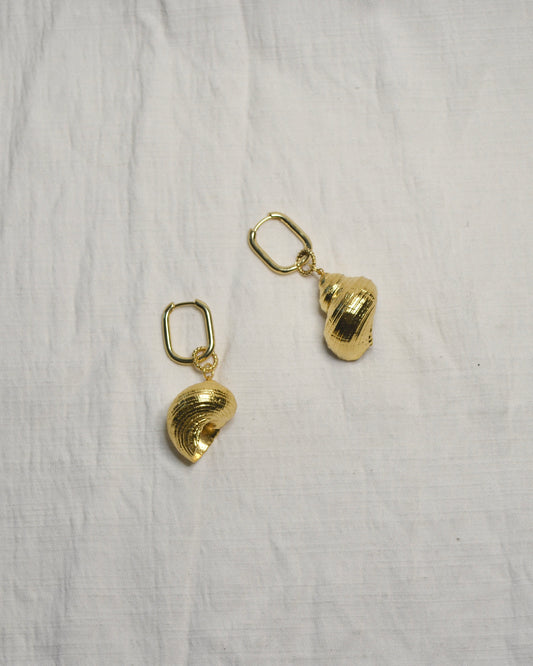 Aretes Caracol Natural