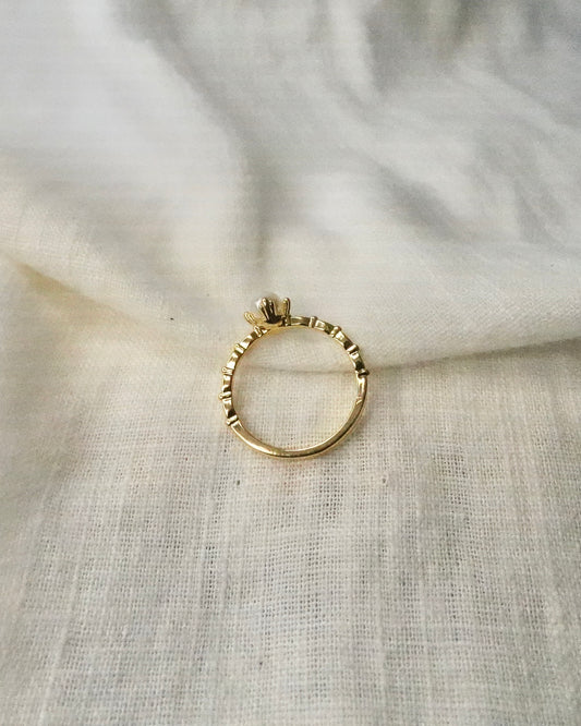Anillo Pame