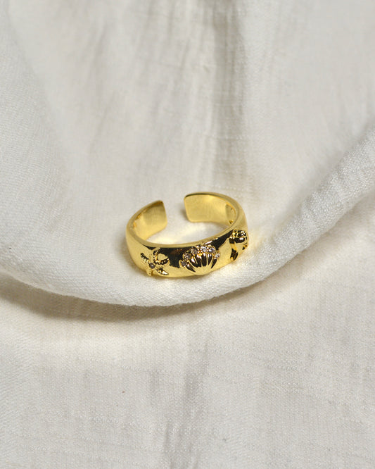 Anillo A.Mar