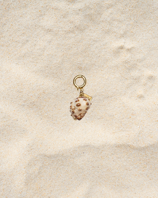 Charm no.4