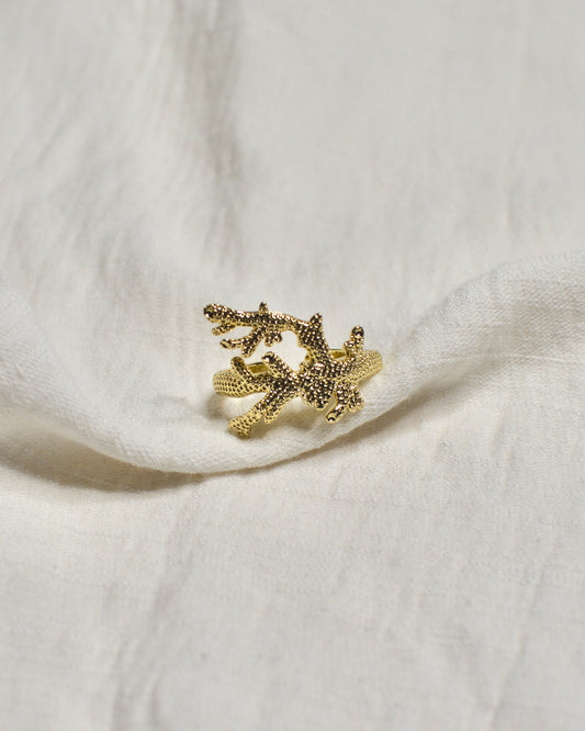 Anillo Coral
